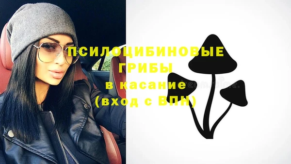 гидропоника Верхнеуральск