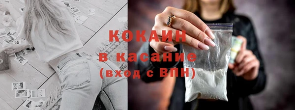 дживик Верхний Тагил