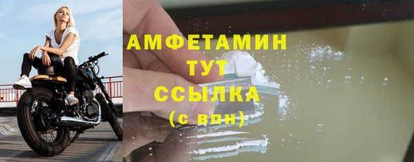 дживик Верхний Тагил