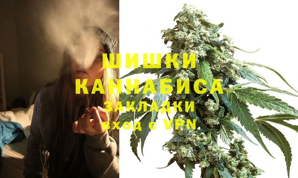 дживик Верхний Тагил