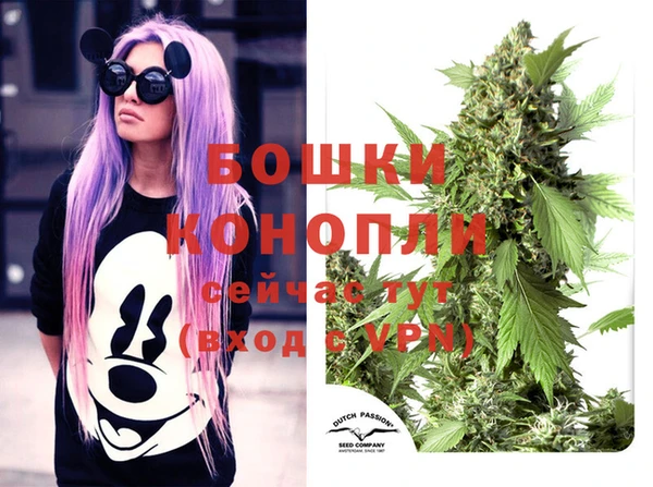дживик Верхний Тагил
