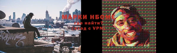 дживик Верхний Тагил